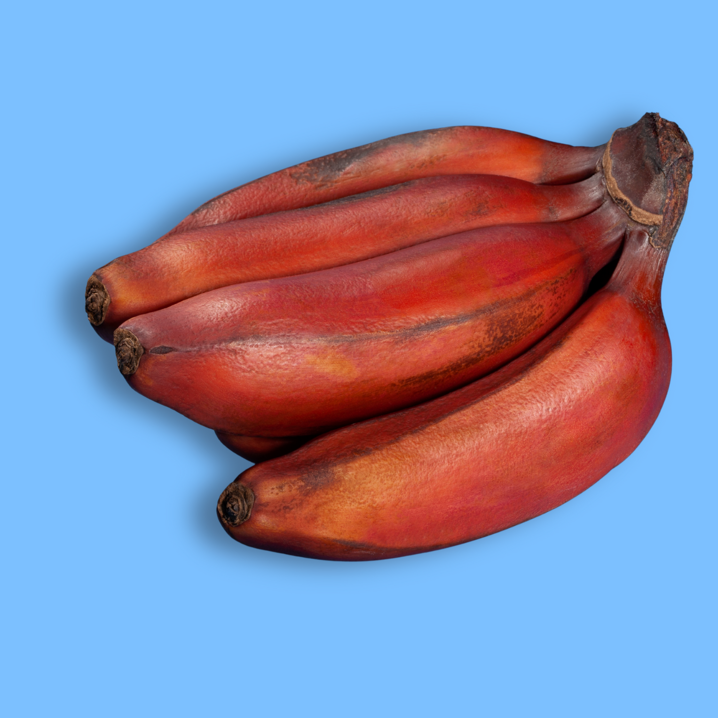 Red Banana