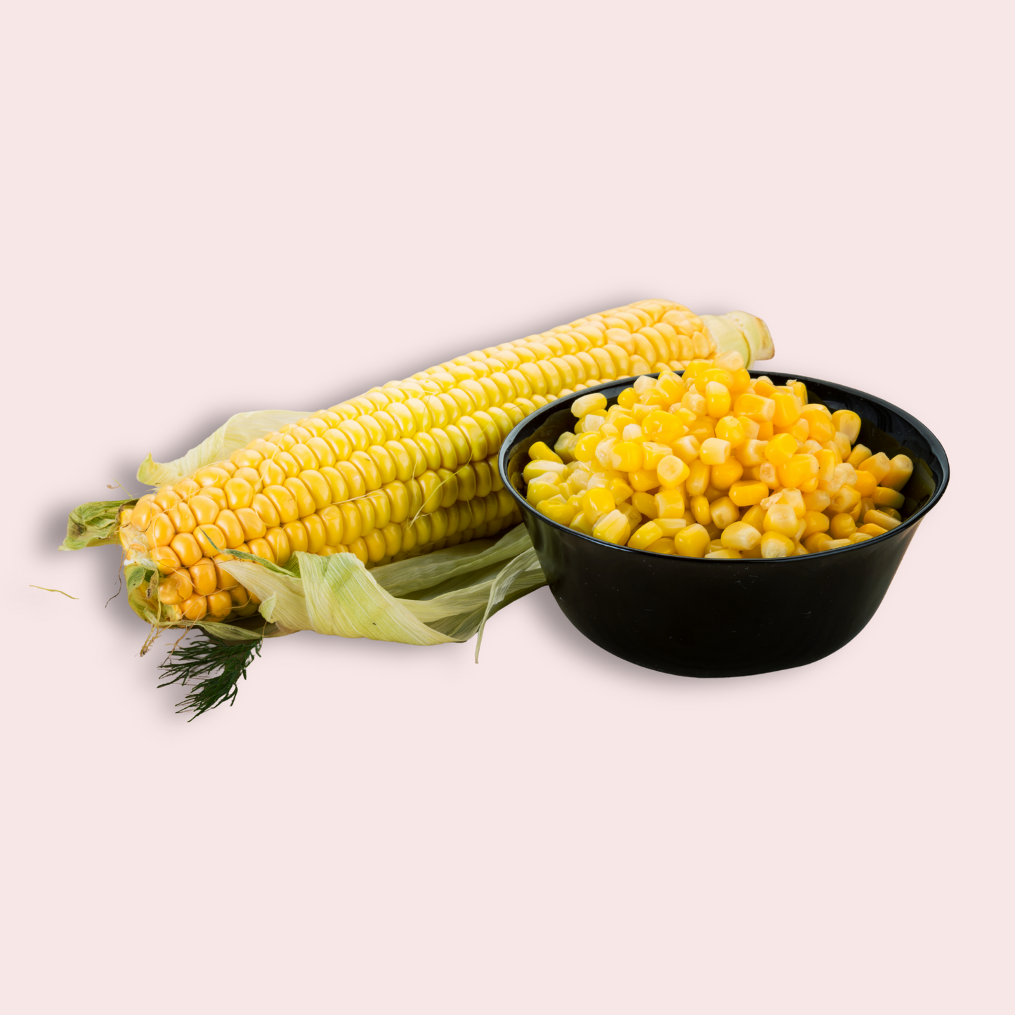 Sweet Corn Pallets
