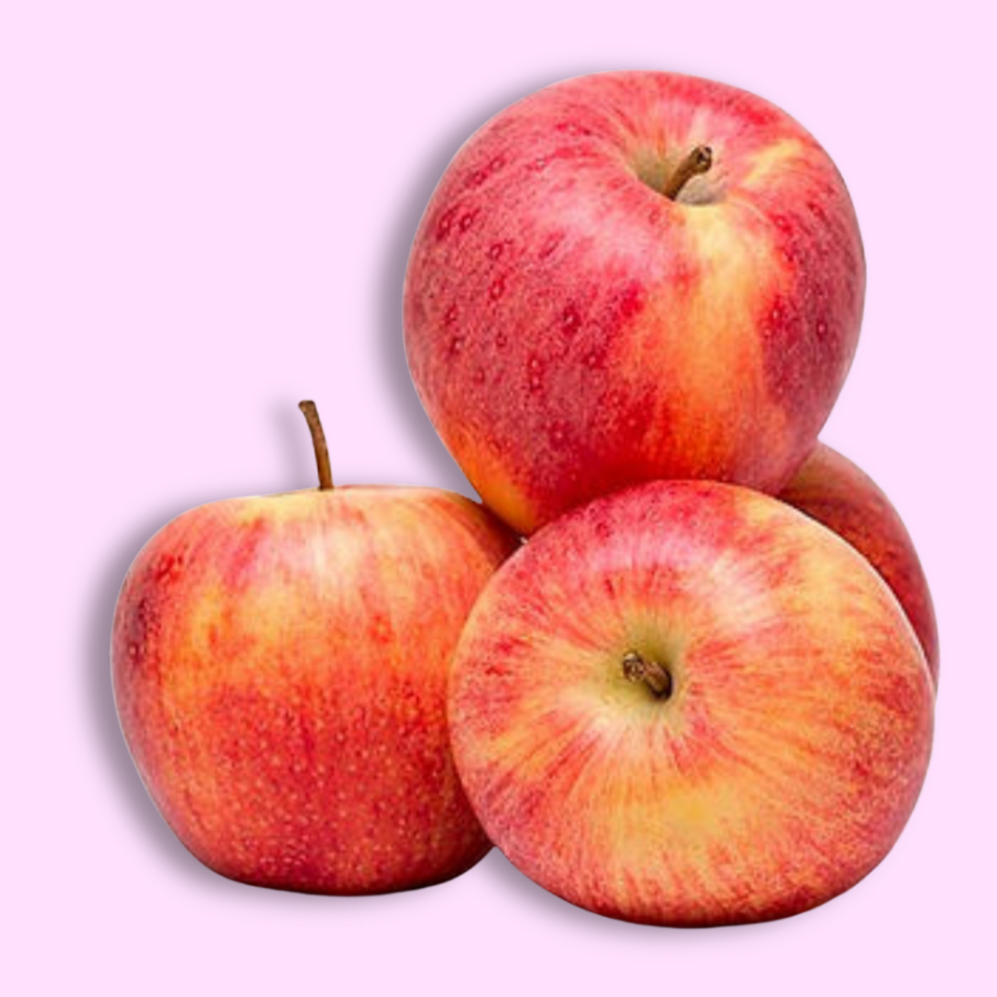 Fuji Apples (New Zealand)