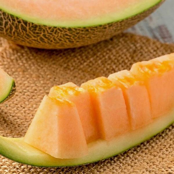 Muskmelon