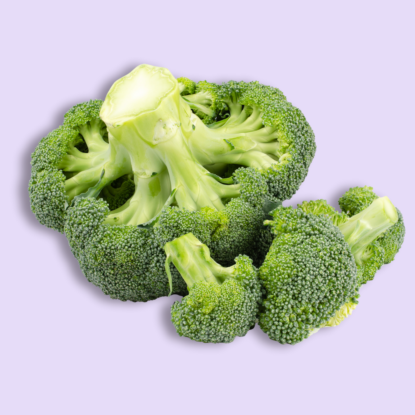 Broccoli (India)