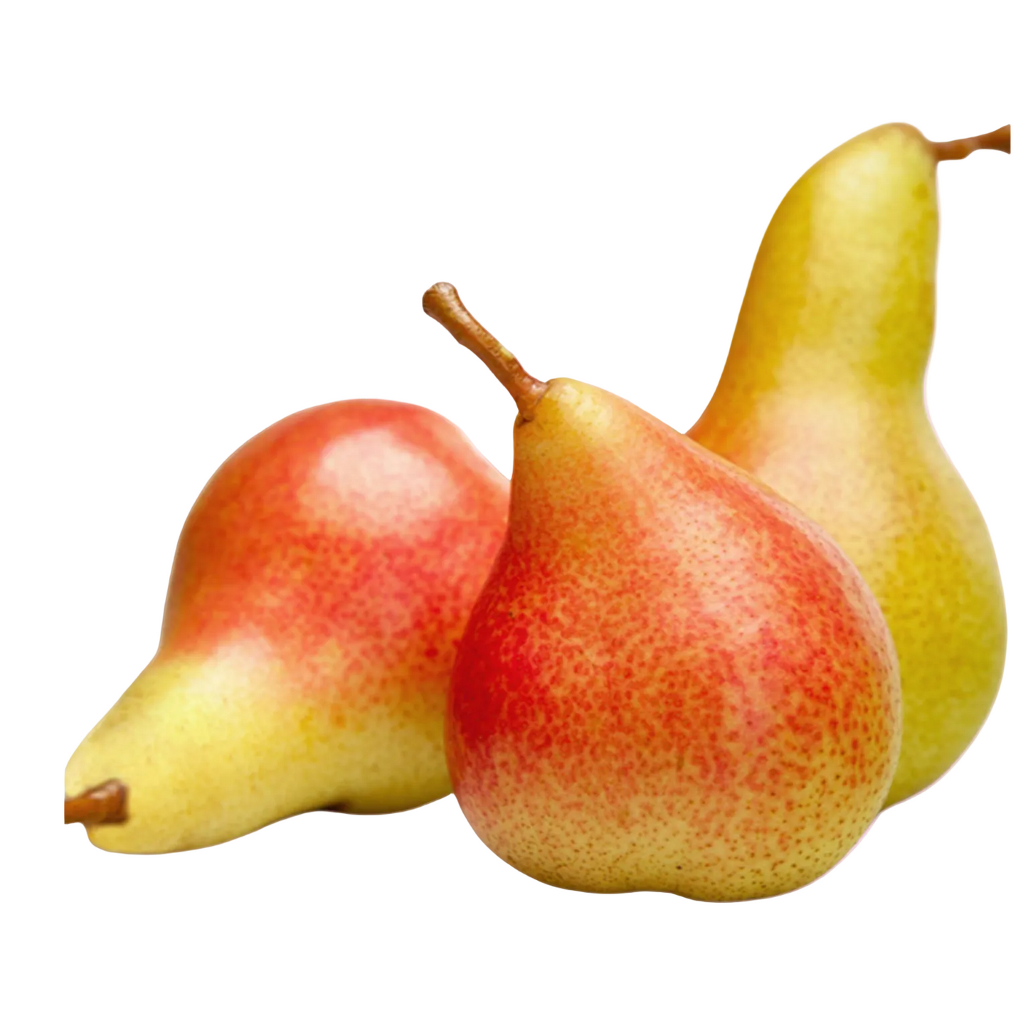 Pear Forelle (South Africa)