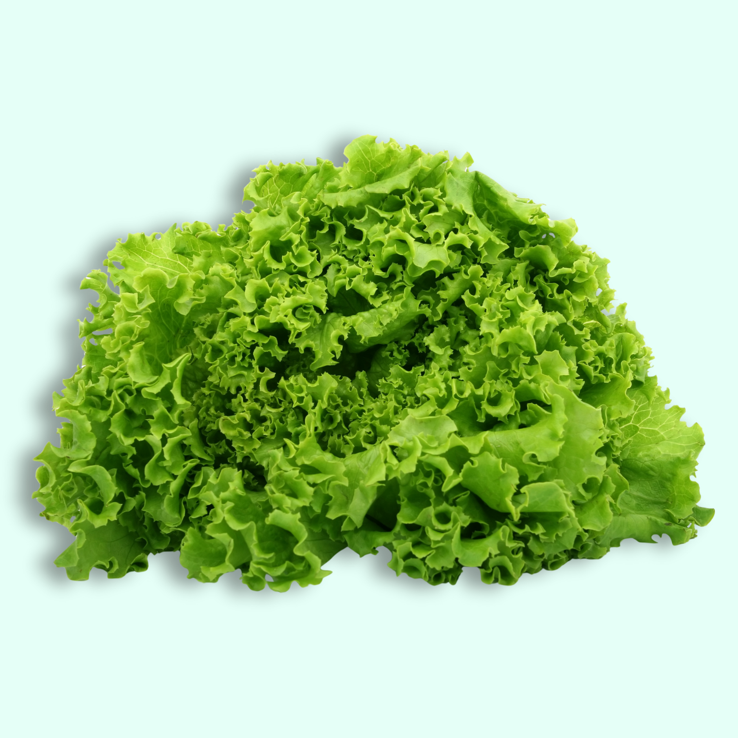 Leafy and Seasonings