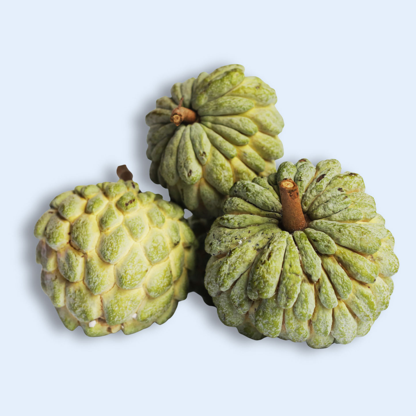 Custard Apple Pack