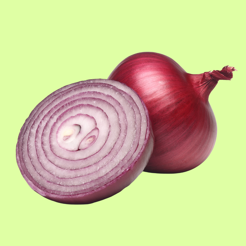 Onion (Kanda)
