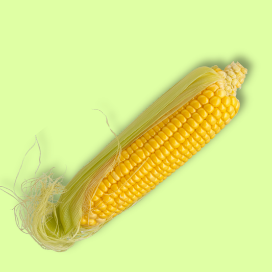 Sweet Corn 1Pc