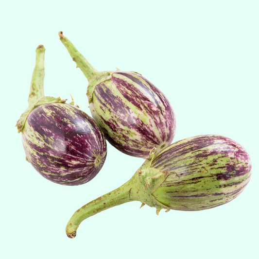 Vari Brinjal