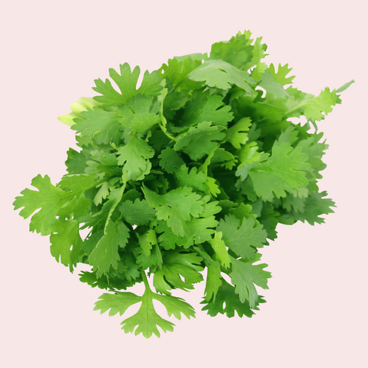 Fresh Coriander