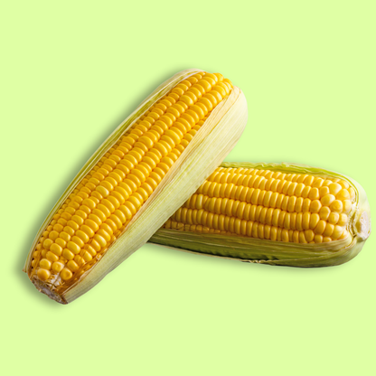 Sweet Corn 1Pc