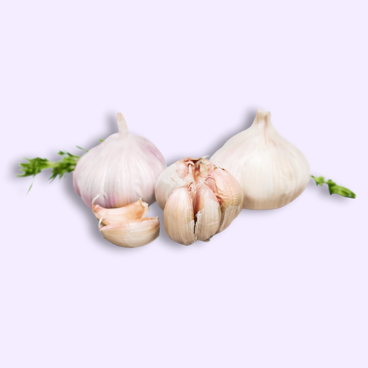 Garlic