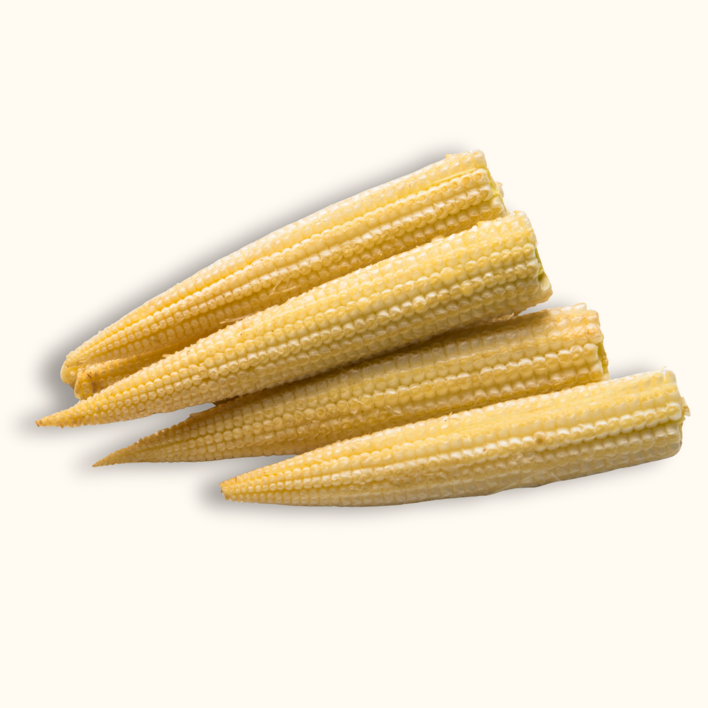 Fresh Baby Corn