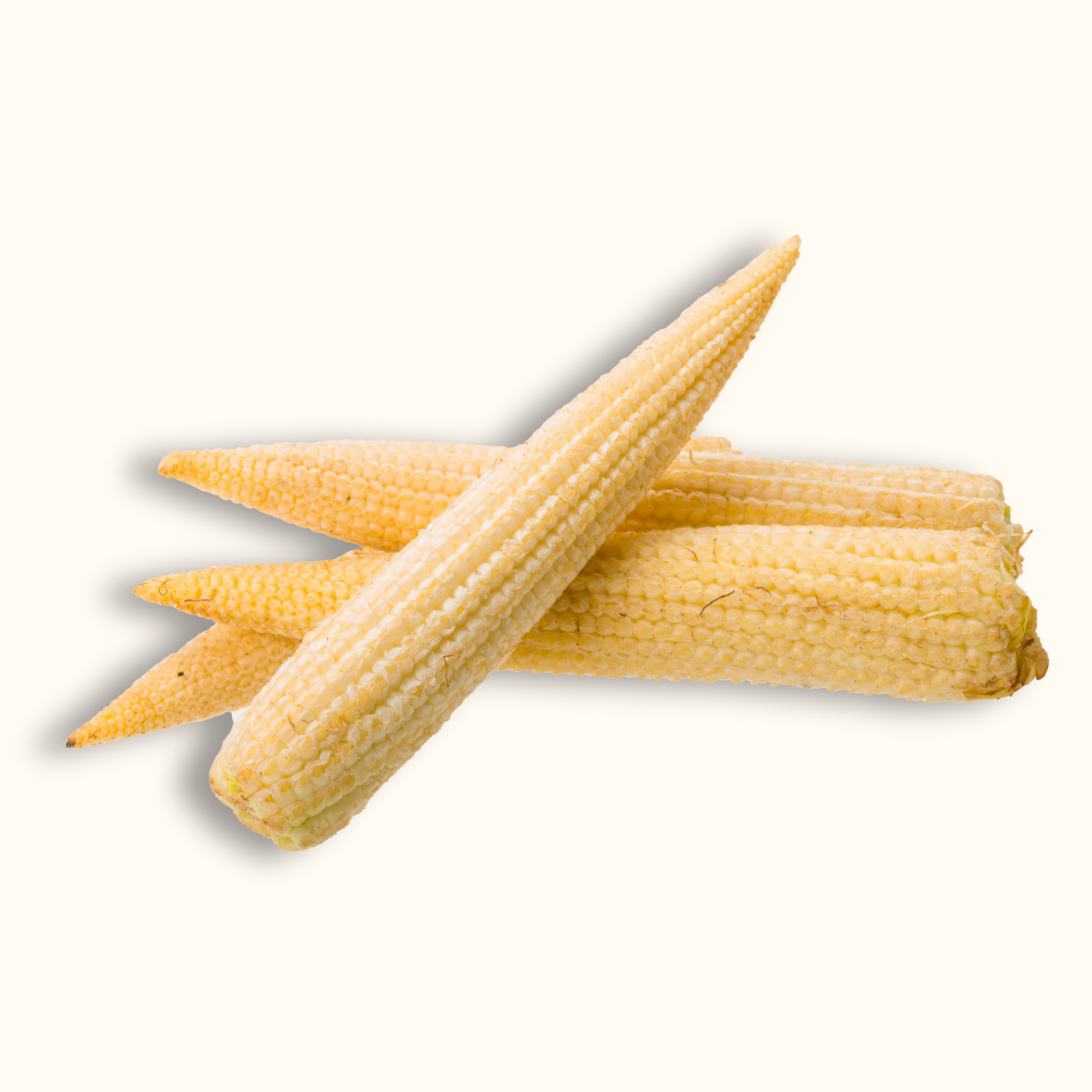 Fresh Baby Corn