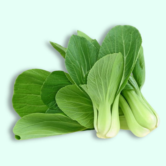 Bok Choy - Hydroponically Grown