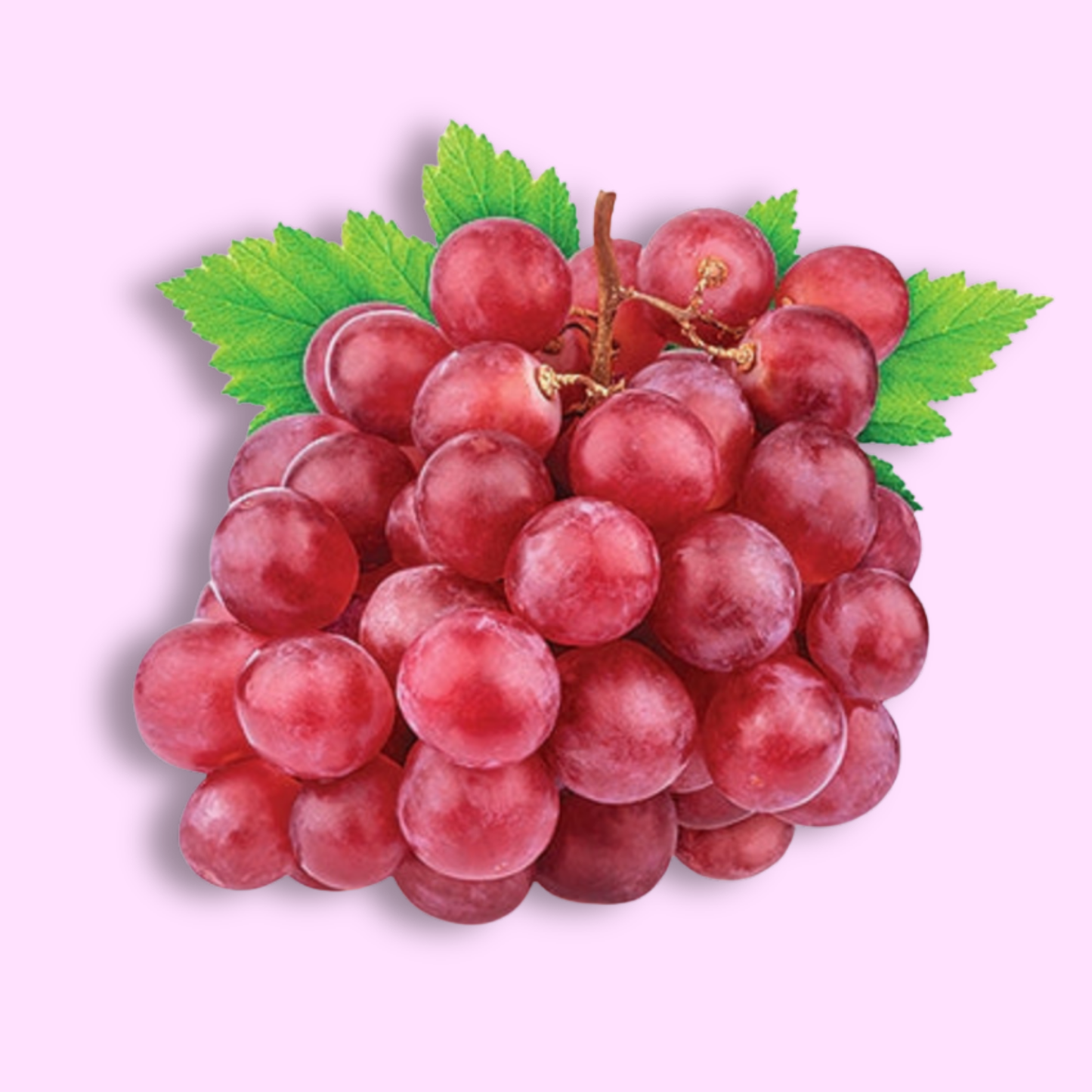 Red Globe Grapes (China)