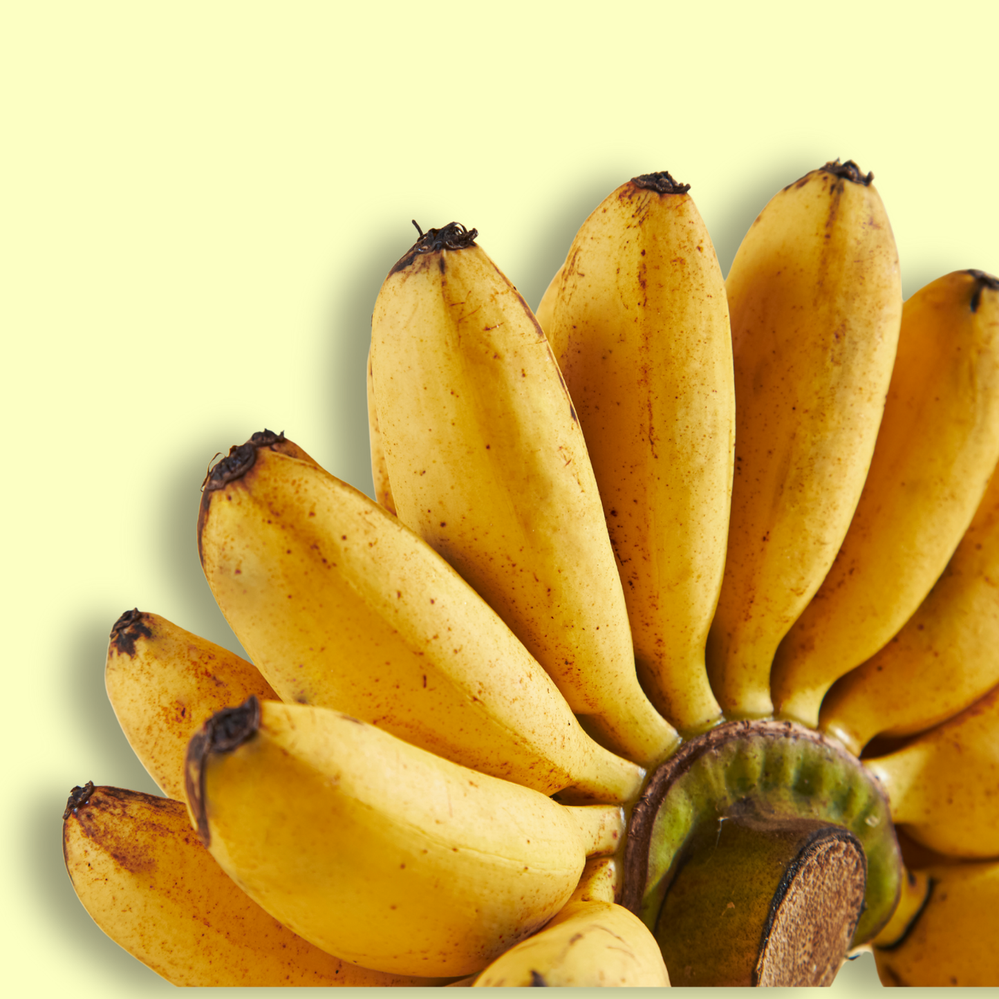 Banana Karpooravalli