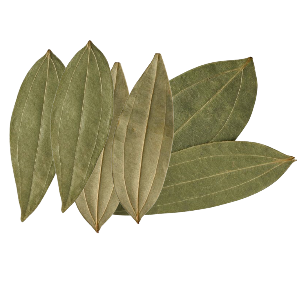 Bay Leaves (Tej Patta)