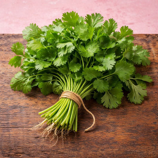 Fresh Coriander
