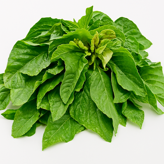 Fresh Green Amaranthus Leaves