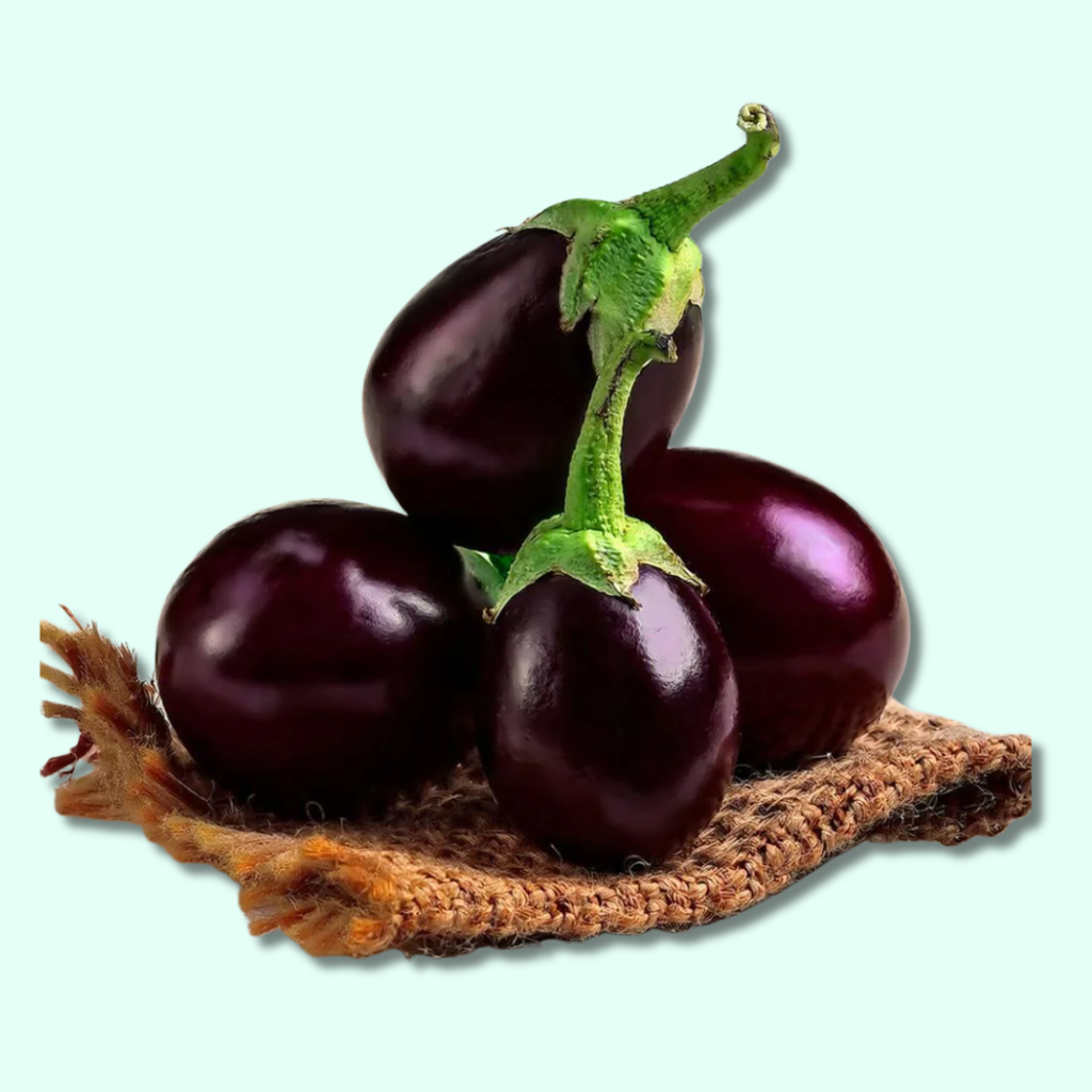 Brinjal Nagpur