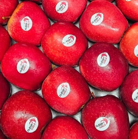 Apple Flash Gala (South Africa) 4Pc
