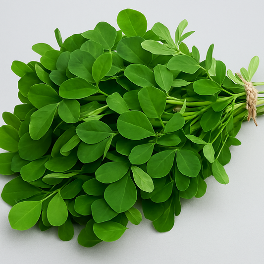 Fresh Fenugreek (Methi)