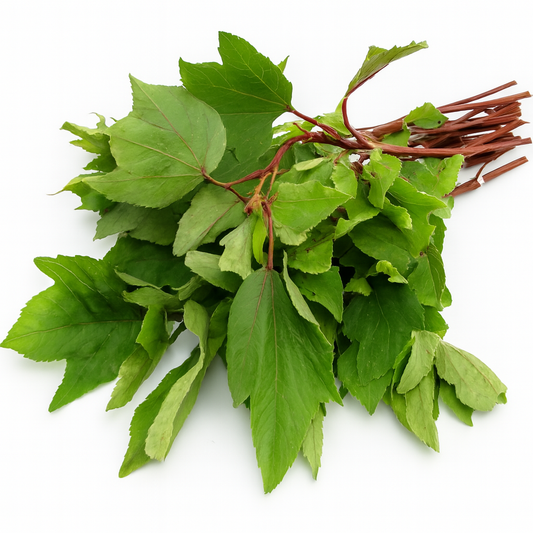 Fresh Gongura Leaves (Sorrel Leaves)