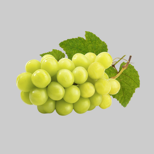 Muscat Grapes (China)