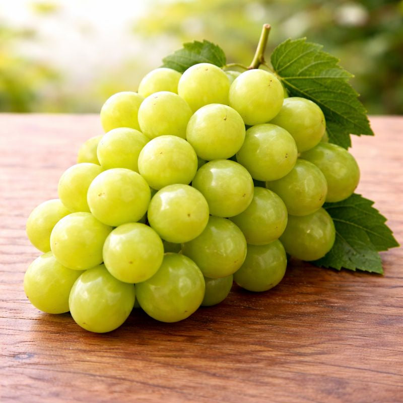 Muscat Grapes (China)