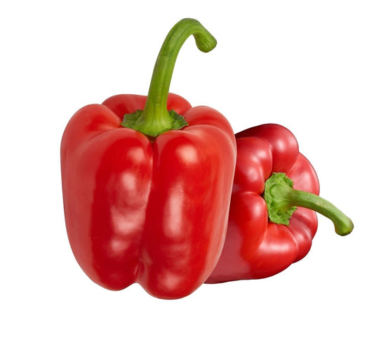 Red Capsicum