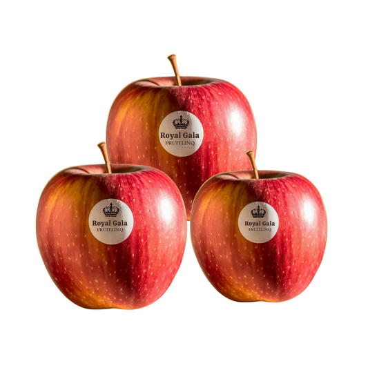 Apple Royal Gala 4PC
