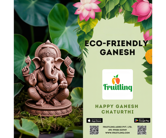 Eco Friendly Ganesh Kit