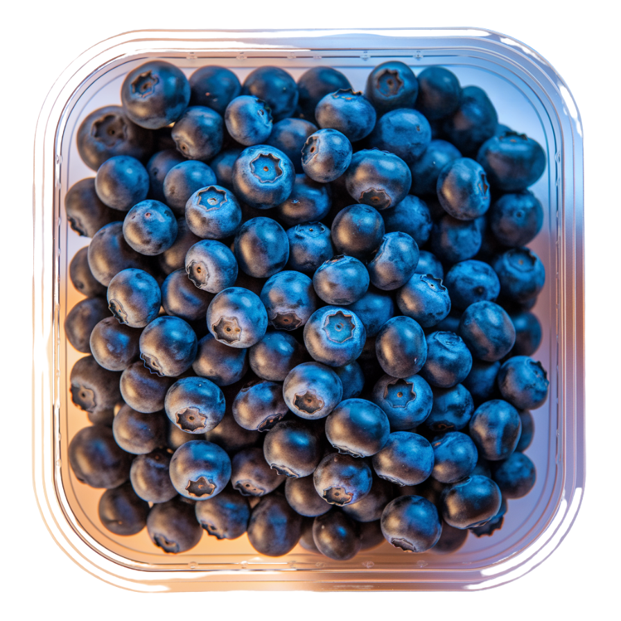 Blueberry Pack