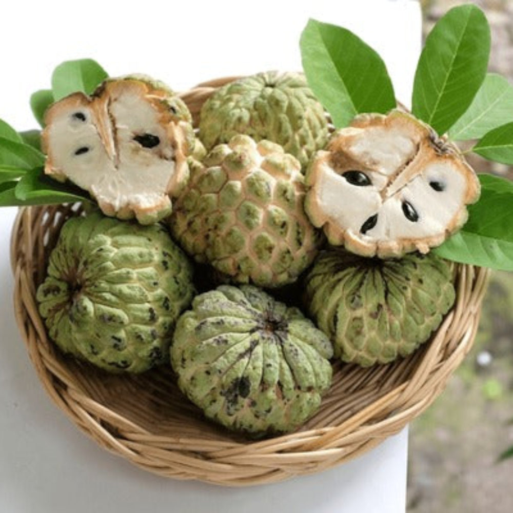 Custard Apple Pack