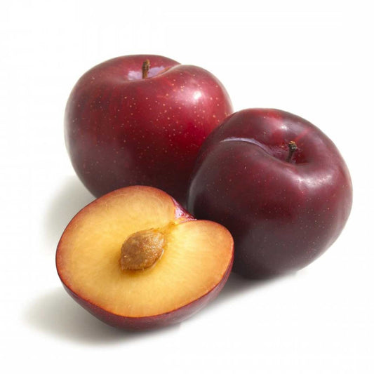 Plum Pack 2PC